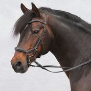 Bridle Sensum – Black